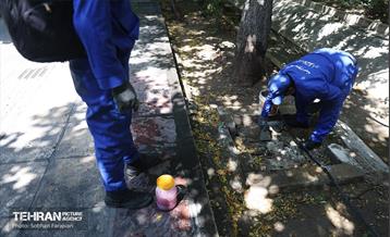 مبارزه با جانوران موذی 10