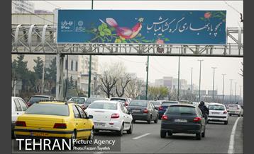 رنگ و بوی بهاری در خیابان های منطقه ۵