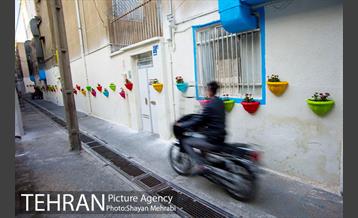 کوچه امیدی رنگ نوروز گرفت 28