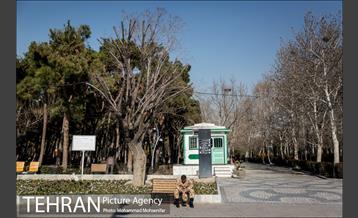 روزهای آفتابی پارک لاله 11