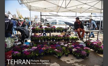 بازار گل شهید محلاتی 25