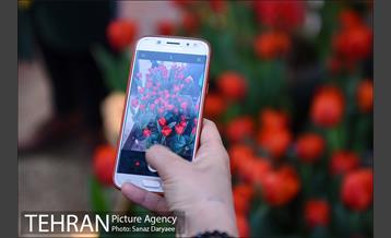 بازار گل شهید محلاتی در آستانه نوروز 21