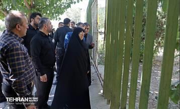 بازدید عضو کمیسیون اجتماعی و فرهنگی شورا از منطقه 17 5