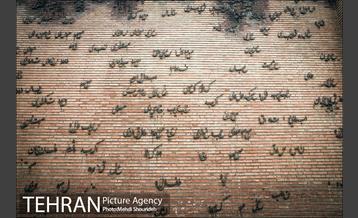 باغ موزه قصر 6