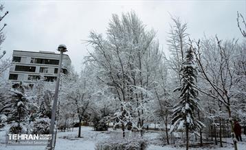 روز برفی در منطقه 8 42