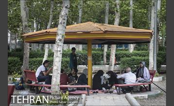 بوستان فدک‎ 26