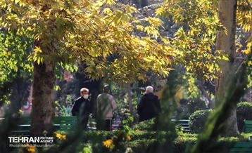 سمفونی رنگ های پاییزی - بوستان اندیشه 14