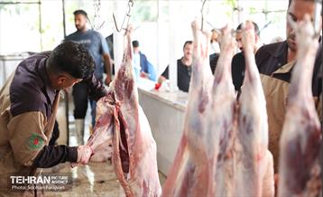 مرکز عرضه دام بهداشتی به مناسبت عید قربان 39