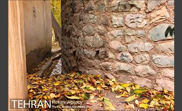 پاییز طلایی روستای افجه 8