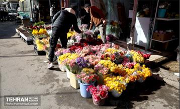 بازار گل محلاتی  4