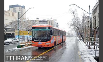بارش برف زمستانی در تهران 29