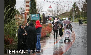 بارش باران بهاری در تهران 23