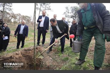 غرس 2000 نهال در بوستان جنگلی سرخه‌ حصار 10