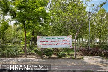 روز طبیعت بدون انسان 13