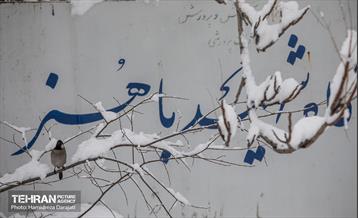 روایت مه‌و‌برف در بوستان سنگی تهران  43