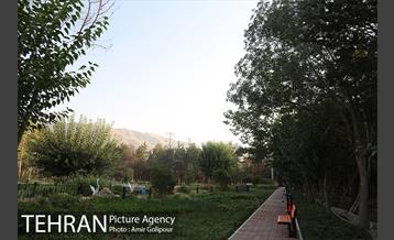 باغ راز هستی 39