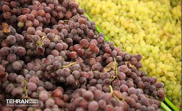 آیین افتتاح ۸ میدان میوه و تره بار سازمان میادین شهرداری 9