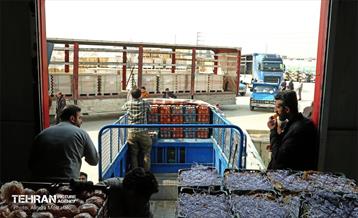 توزیع میوه شب عید قیمت تنظیم بازار در میادین و بازارهای میوه و تره‌بار 9