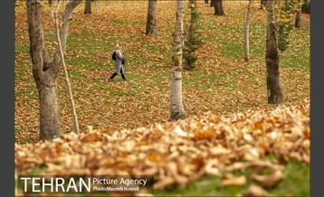 پاییز زیبای پایتخت 14