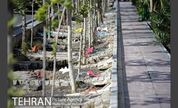 اکران هنرهای محیطی نوروزی در سطح شهر  15