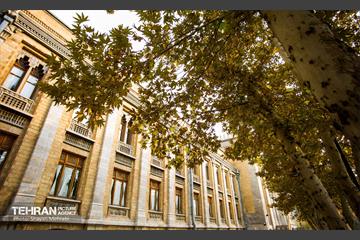 پاییز میدان مشق 15