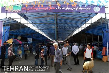 بازدید رییس شورای اسلامی شهر تهران و مدیر عامل سازمان میادین شهرداری تهران از مراکز عرضه بهداشتی دام 1