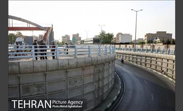 پویش سه شنبه های بدون خودرو در منطقه 8