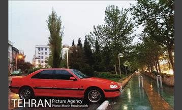 تهران بارانی 10