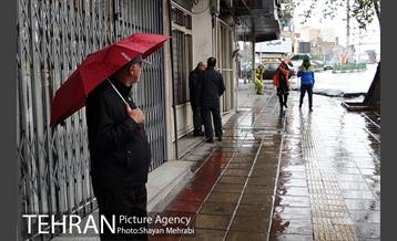 بارش باران بهاری در تهران  8