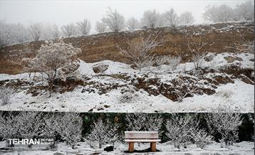 بارش برف زمستانی در تهران 35