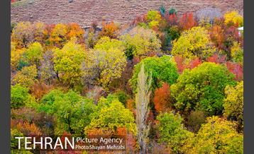 طبیعت پاییزی روستای سنگان 6