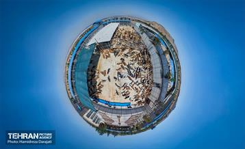 مهربانی با سگ های بدون صاحب 37