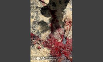 مراسم آتش زدن خیمه ها در ظهر عاشورا‎ 14