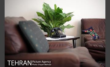 خانه موزه دکتر شریعتی 4