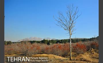 پارک جنگلی سرخه حصار 42