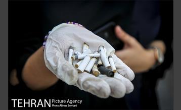 روز جهانی زمین پاک 8