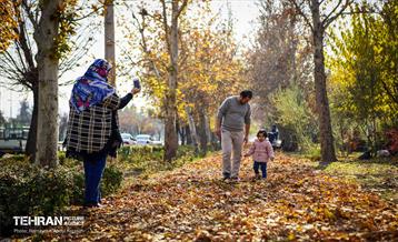 گذرگاه های پاییزی پایتخت - منطقه 14