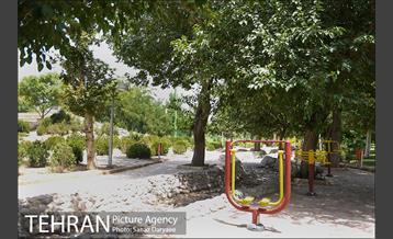 بوستان پردیس بانوان 8