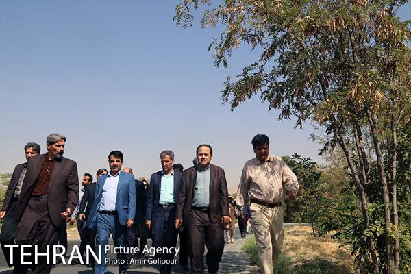 بازدید سید آرش حسینی میلانی از پارک جنگلی چیتگر 11