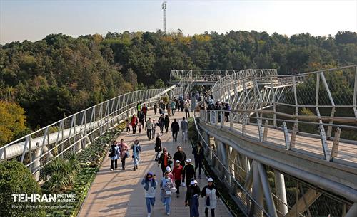 همایش‌ پیاده‌روی خانوادگی کارکنان شهرداری تهران - ۲ 23