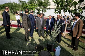 آئین درخت کاری به مناسبت تولد گاندی 12