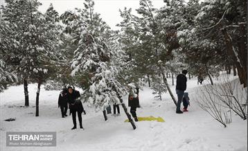 روز برفی تهران - 2 9