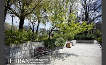 بوستان نیاوران 4