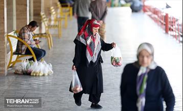 تور بازدید از میادین و بازارهای میوه و تره‌بار شهرداری تهران 29