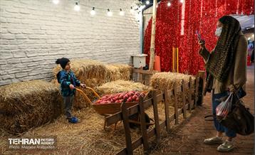 جشنواره انار تهران در گذر گردشگری پارک آب و آتش 28