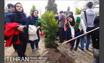 مراسم کاشت نهال در هفته منابع طبیعی (درخت فرهنگ و هنر) 23