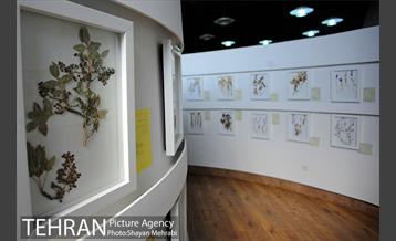 موزه گیاه شناسی دارآباد 18