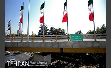 پل غیر همسطح بزرگراه شهید چمران (پل شهید نوروزی) 17