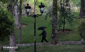 بارش باران بهاری در تهران - 2 31