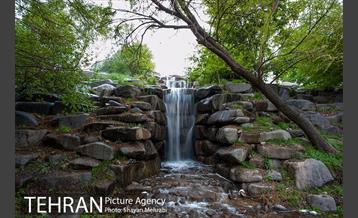 باغ گیاه‌شناسی ملی ایران 13